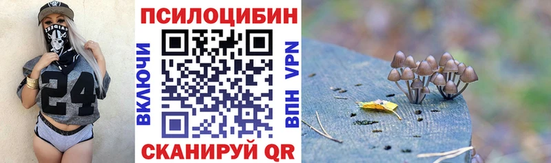 Псилоцибиновые грибы прущие грибы  Спасск-Рязанский 